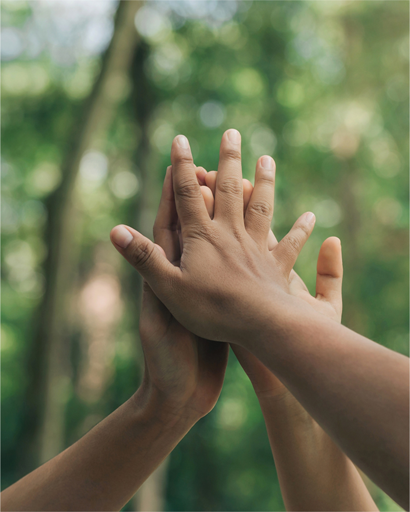 Duas mãos se tocando em sinônimo de união e sustentabilidade